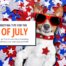 Cyberfunnels-marketing tips for the 4th of july